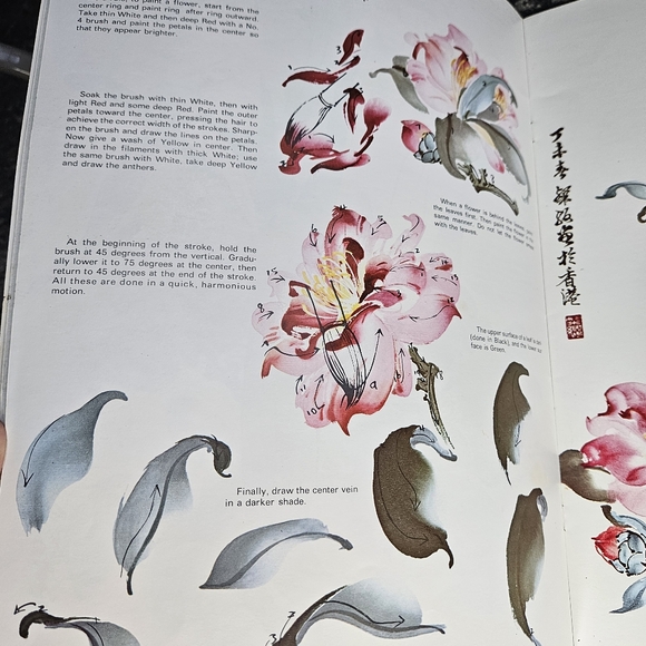 Chinese Painting 2 Walter Foster How To Draw Paint Painting Softcover #128 - Picture 6 of 16